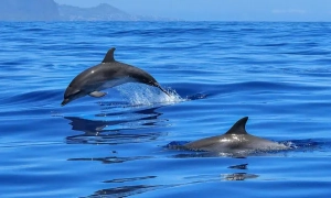 Євростат: середня зарплата в ЄС у 2024 році зросла на 5,2%