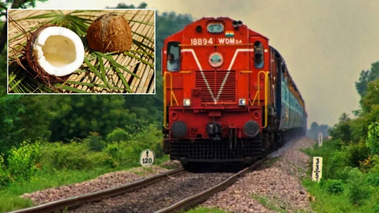 Через ризик займання в Індії заборонили перевозити кокоси у поїздах