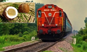 ВООЗ дала офіційну назву коронавірусу