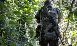 Бойові дії на сході України посилюватимуться: прогноз британської розвідки 