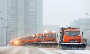В Україні почали дешевшати яйця: подробиці 