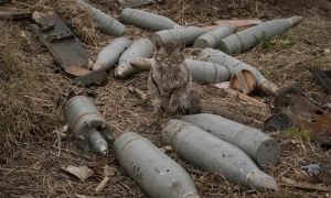 У Грузії Саакашвілі заочно засудили до трьох років позбавлення волі