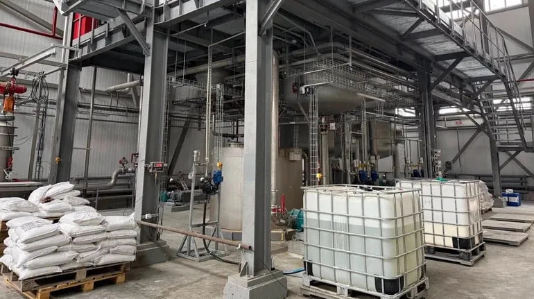 В Україні запустили перше виробництво біоклею з гороху