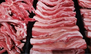 У Тернополі серед руїн зруйнованої рф багатоповерхівки знайшли папугу