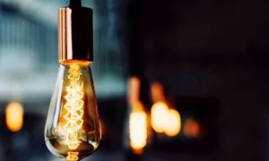 Відео: СБУ запобігла провокаціям спецслужб РФ на травневі свята