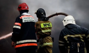 Ціни на золото рекордно зросли в очікуванні зниження ставки ФРС США