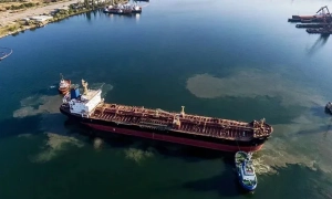 Турагентство шахраїв: поліція викрила чергову схему підроблення COVID-сертифікатів