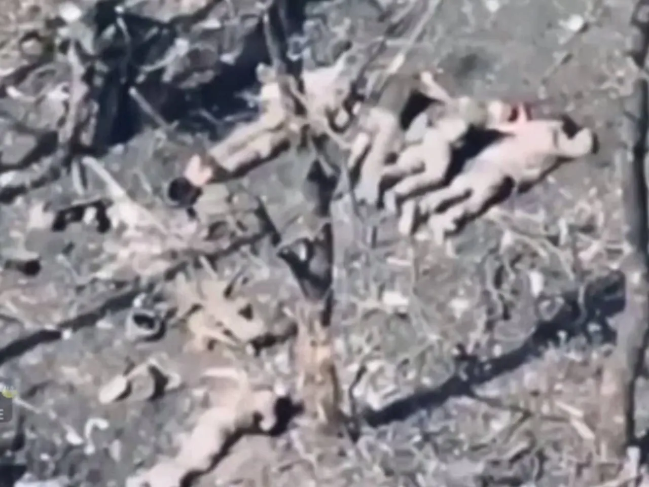 Росіяни розстріляли п’ятьох беззбройних українських військовополонених