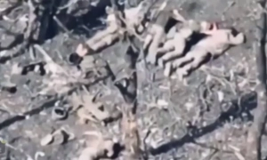 У Маріуполі партизани підпалили базу окупантів