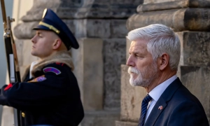 Польща змусить українських заробітчан робити щеплення