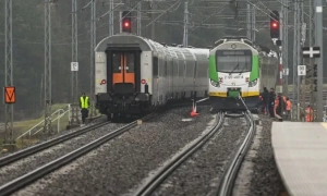 У Зімбабве через посуху загинули 100 слонів