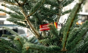 Зеленський підписав закон про демобілізацію через втрату неповнорідних родичів