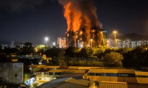 У Норвегії муніципалітет втрутився в суперечку через надто гучного півня