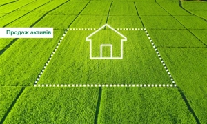 Червоний Хрест спростував фейк про «виплати 2500 грн»