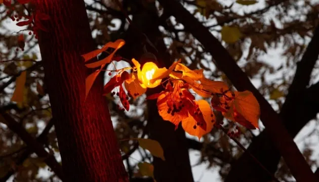 Атаки РФ залишили без електроенергії споживачів у чотирьох областях