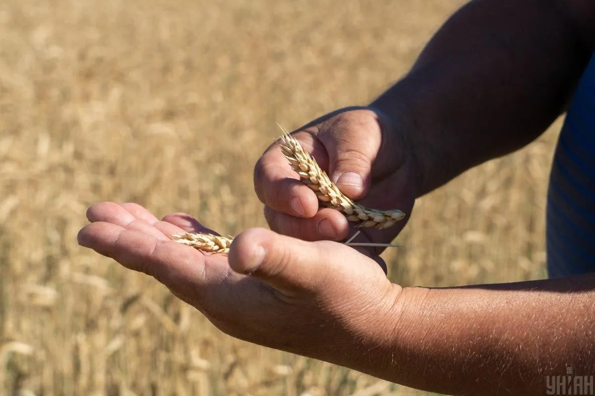 Ексчиновника Задираку можуть екстрадувати з Греції через земельні схеми в Україні