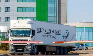 У Каталонії скоротять популяцію диких кабанів через африканську чуму свиней