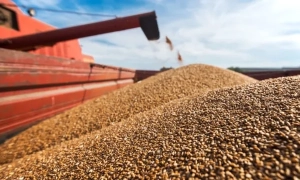 «Слуга народу» розсадила інші фракції так, щоб ніхто не зміг блокувати трибуну