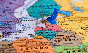 Свині можуть стати загрозою для людей через небезпечний вірус у Європі, — Financial Times