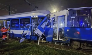 Пташиний грип став причиною смерті сотень тюленів в Антарктиці