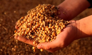 «Заступнику мера» окупованого Бердянська висунули офіційне звинувачення