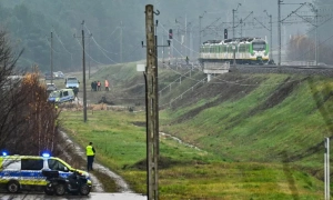 Суд в Іспанії виніс незвичне рішення про спільну опіку над собакою розлученої пари