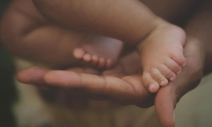 Резніков заявив, що окупанти не знищили жодної системи HIMARS