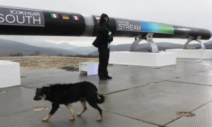 Amazon інвестує щонайменше $20 мільярдів у дата-центри в Пенсильванії