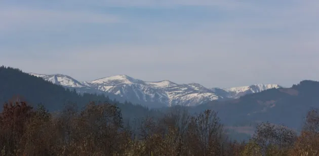На Закарпатті зафіксували невеликий землетрус