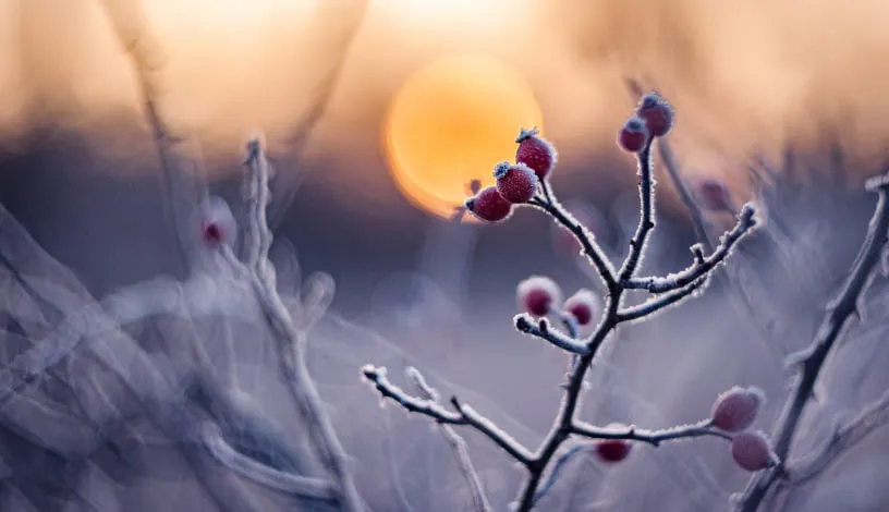 Погода на вихідні 13-14 грудня - очікується перший справжній сніг