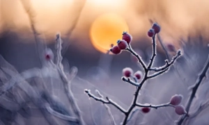 В Енергодарі підірвали автомобіль «начальника фізичної охорони» окупованої ЗАЕС