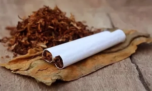 В Житомирі ще у двох людей діагностували коронавірус