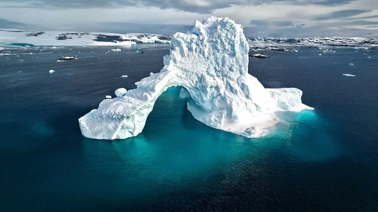 Українська мова фільму «Антарктиди» Птушкіна обурила користувачів із РФ