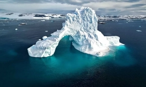 Українська авіакомпанія Bees Airline відправить всі літаки за кордон на вимогу лізингодавця