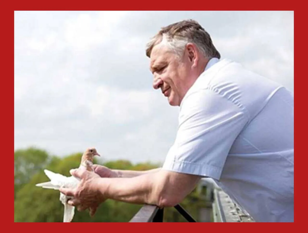 У Підмосков’ї загинув колишній лідер Солнцевського ОЗУ під час прогулянки із двоюрідним зятем Путіна