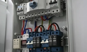 68 дітей отримали ім’я Стефанія з моменту перемоги України на Євробаченні 