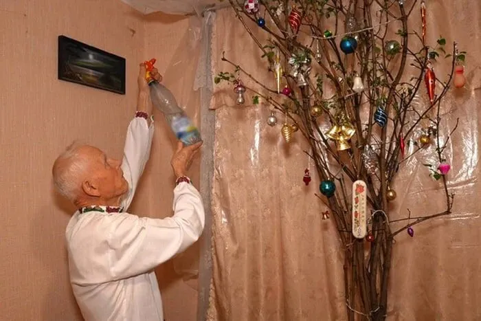 У Кропивницькому перед Різдвом у квартирі зацвів бузок