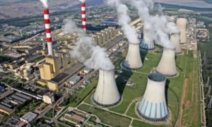 Польська академія наук назвала котів загрозою для довкілля і викликала скандал