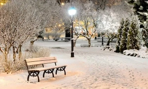 Милованов пояснив, чому побився з Данилюком