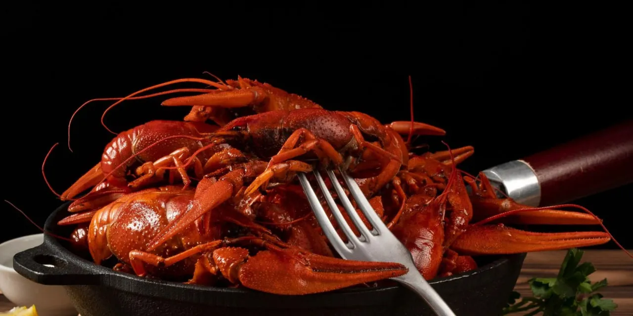 У Великій Британії заборонять варити живих лобстерів та раків