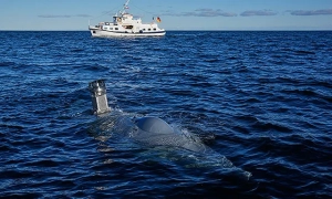 Подружжя з Уельсу вдруге виграло мільйон у лотереї за шість років