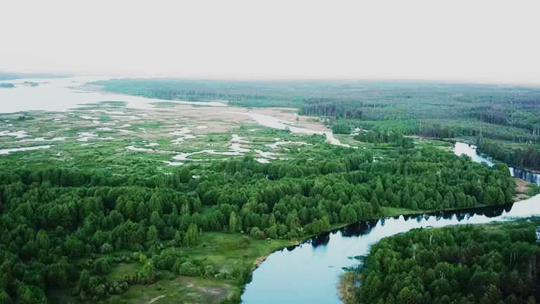 Прокурори захистили прибережну смугу річки Ірша від незаконного використання