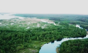 Хакери атакували держреєстри України