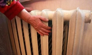 В Англії рух потягів зупиняли через гігантську черепаху на коліях