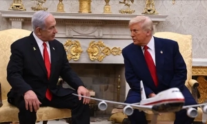 Боснія і Герцеговина легалізувала медичний канабіс