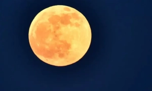 Зеленський звільнив голову контррозвідки СБУ