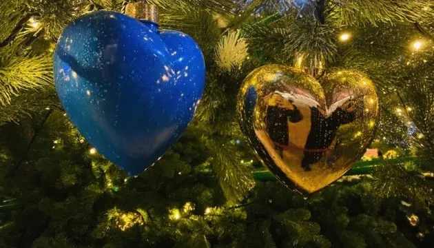 Поліція нагадала про обмеження - у новорічну ніч без феєрверків