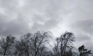 У Кабміні встановили ціни на пластикові пакети в магазинах: скільки заплатимо у лютому