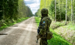 У Нідерландах рівень води в Рейні впав до історично низької позначки