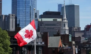 Таліби будують завод із переробки канабісу. Фармкомпанія з Австралії заперечує участь